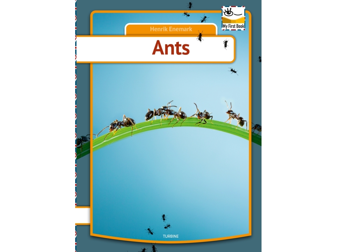 Ants | Henrik Enemark