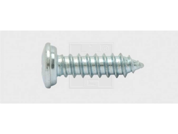 Swg 1030551925 Nummerplade-Skruer 5.5 Mm 19 Mm Krydskærv Philips Stål Verzinkt 100 Stk
