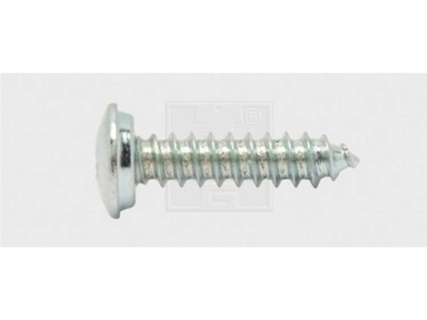 Swg 103481325 Nummerplade-Skruer 4.8 Mm 13 Mm Krydskærv Philips Stål Verzinkt 100 Stk