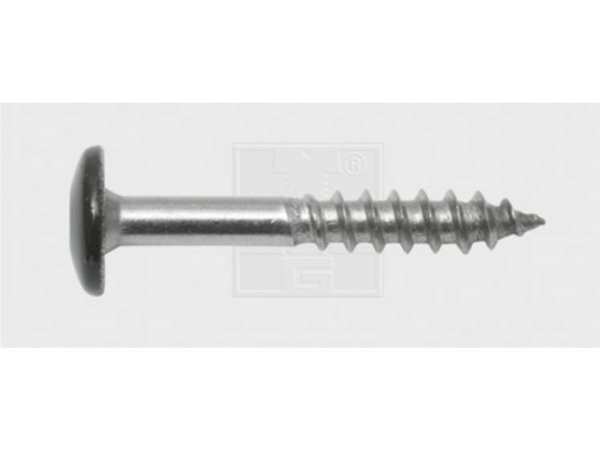 Swg 211535520 Facadeskrue 5.5 Mm 35 Mm T-Profil Rustfrit Stål A4 100 Stk