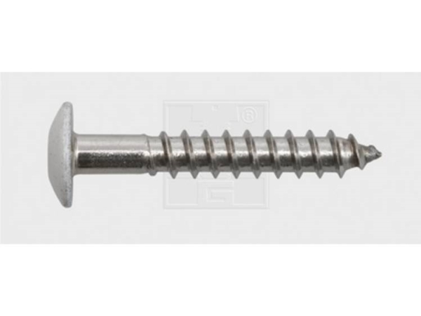 Swg 211535620 Facadeskrue 5.5 Mm 35 Mm T-Profil Rustfrit Stål A4 100 Stk