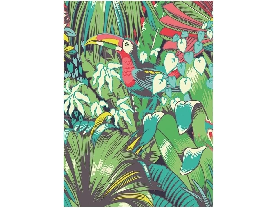 Billede af Museums & Galleries Pass B6 With Toucan Envelope