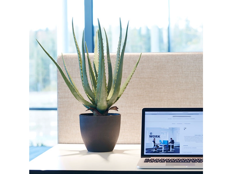 Kunstpflanze Aloe Vera Inkl. Schwarzer Kiste/Topf