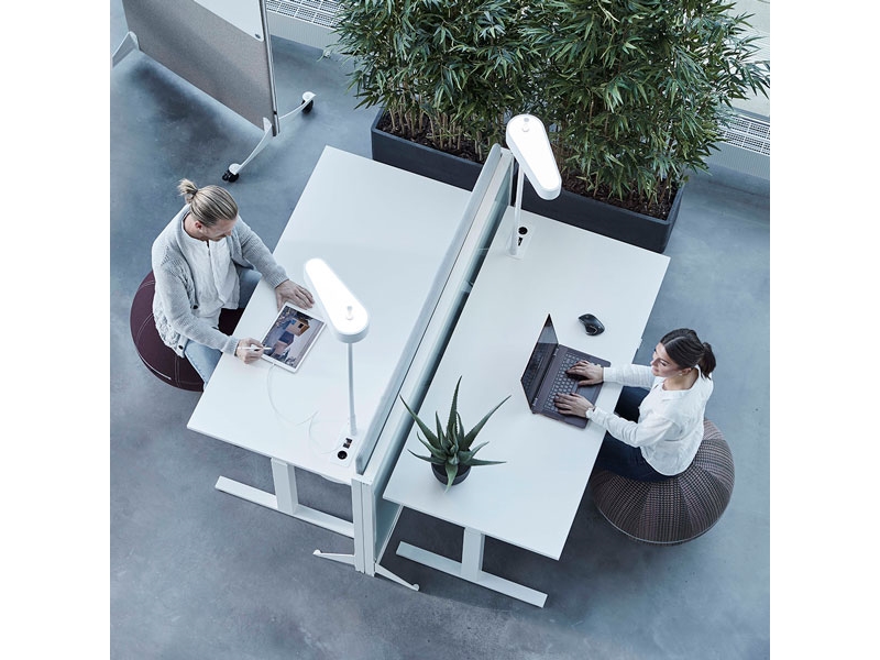 Siddebold Office Ballz, Klein Preisgruppe 2