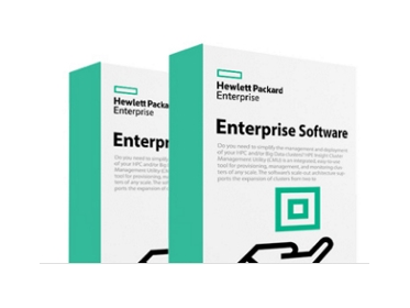 HPE StoreEver Secure Manager - Licens - ESD