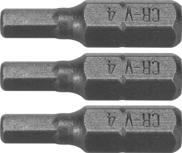 Dedra Screwdriver Bits Hex H4x25mm, 3 Pcs Blister (18A04h40-03)
