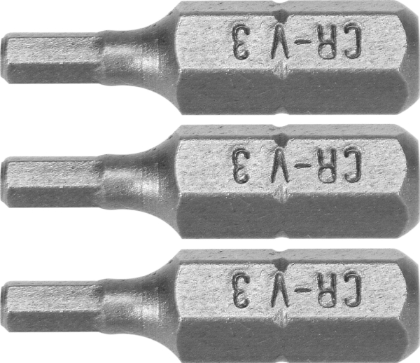 Dedra Screwdriver Bits Hex H3x25mm, 3 Pcs Blister (18A04h30-03)