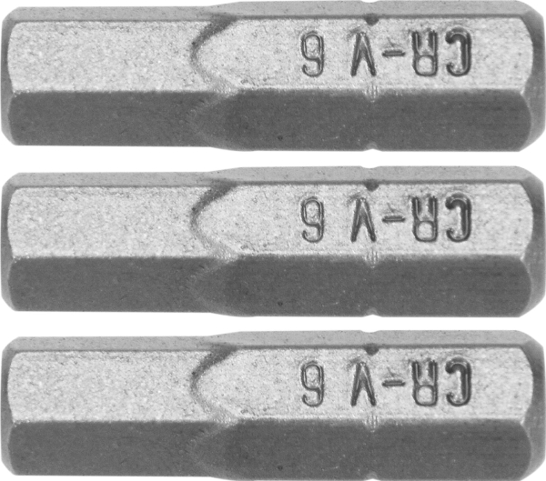 Dedra Screwdriver Bits Hex H6x25mm, 3 Pcs Blister (18A04h60-03)
