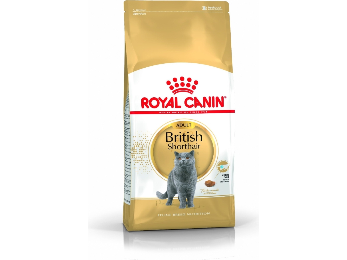 Royal Canin British Shorthair Adult, Adult, Britisch Kurzhaar, 10 Kg, Antioxidantien Enthalten