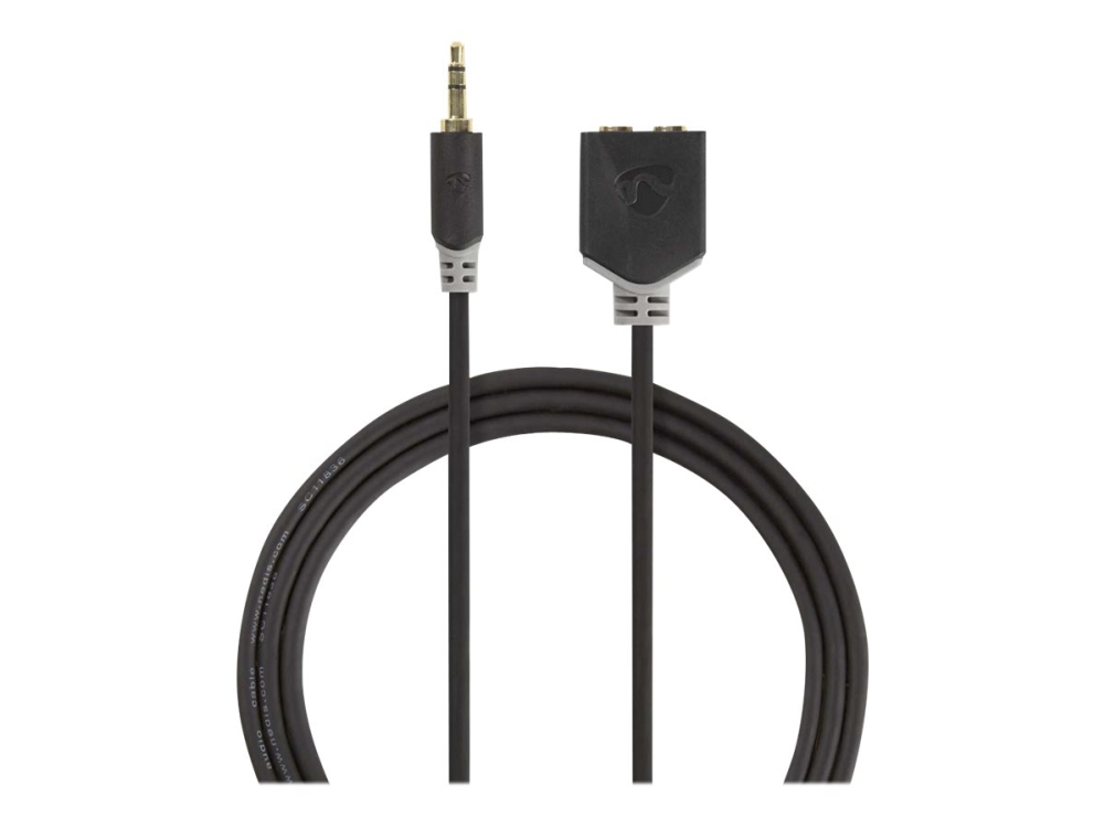 Nedis CABW22100AT02, 3.5mm, 2 x 3.5mm, Kuparipinnoitettu alumiini (CCA), Antrasiitti