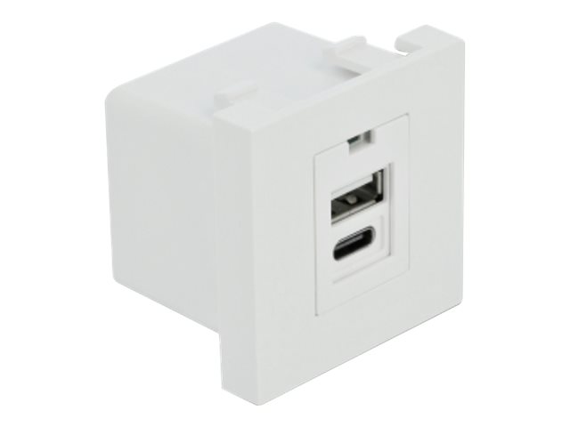 Delock Easy 45 Usb Ladeportmodul 1 X Usb Typ-A + 1 X Usb Type-C