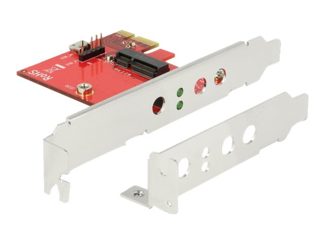Delock - Speicher-Controller - M.2 - M.2 Card Low-Profile - Pcie X1, Usb 2.0