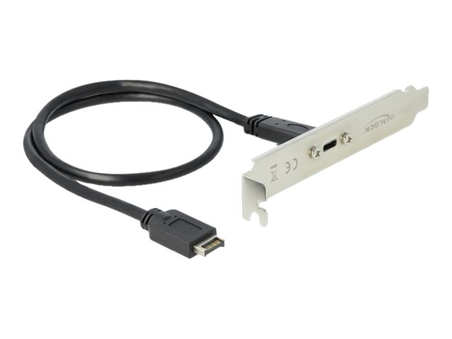 Delock Slot bracket - USB-paneeli - 20-pinninen USB 3.1 samlekasse (han) til USB-C (hun) - 20 V - 3 A - 50 cm - lajittelu