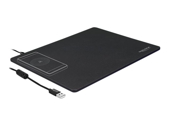 Delock 12595, Schwarz, Monochromatisch