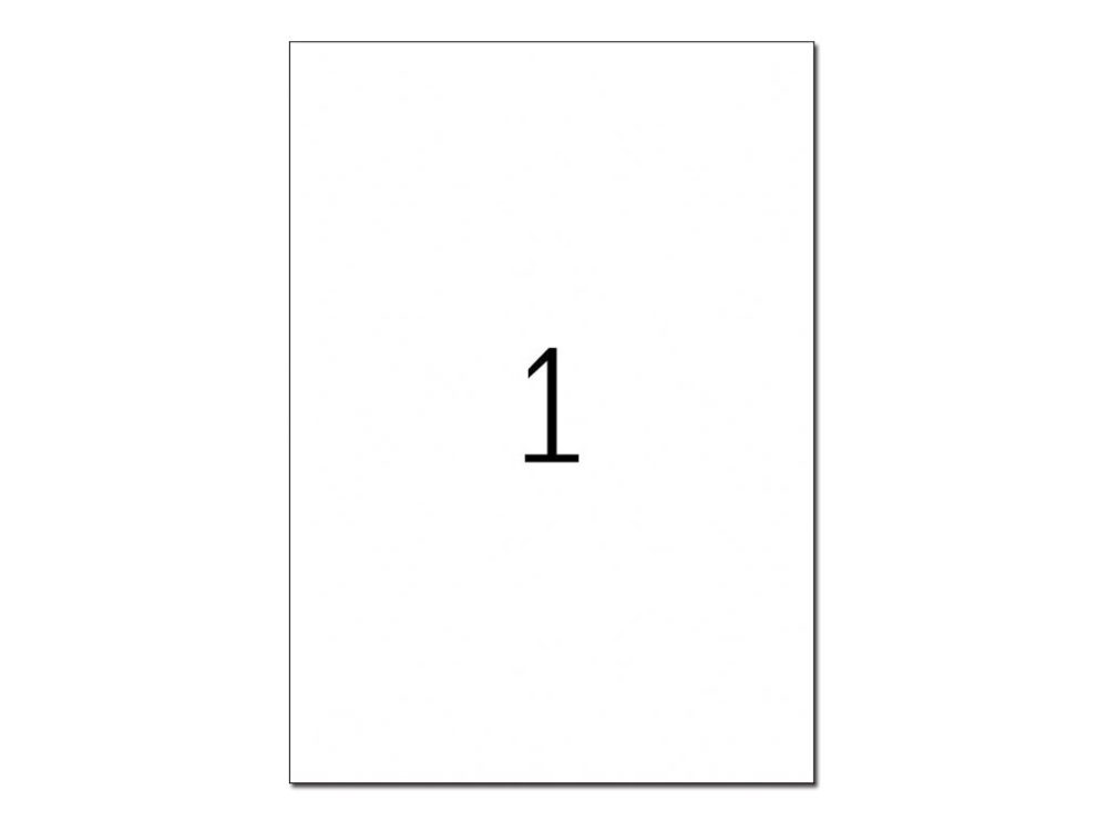 Herma Farbige Etiketten A4 210X297 Mm Grün Papier Matt 20 St., Grün, Selbstklebendes Druckeretikett, A4, Papier, Laser/Inkjet, Entfernbar