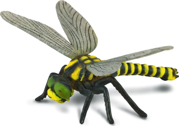 Dragonfly (L)