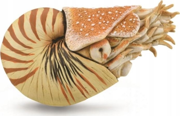 Collecta Beautiful Boat Figur - Collecta - 88907 - Xl