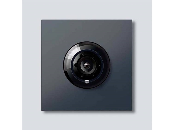 Siedle 210004900-01 Video-Türsprechanlage Funktionsmodul