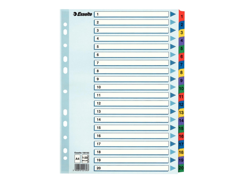 Esselte - Avdelare - 20 delar - förtryckt: 1-20 - för A4 (210 x 297 mm) - tabbad | Arkivlådor | GameStuff