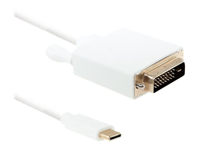 Qoltec - Adapterkabel - USB-C han til DVI-D han - 2 m - 4K support