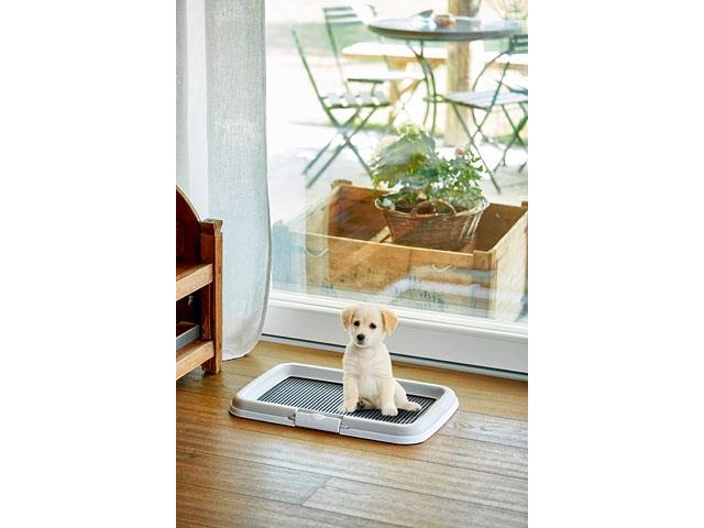 Hundetoilet til hvalpe ZOLUX - åben katte-/hundebakke, sort/grå