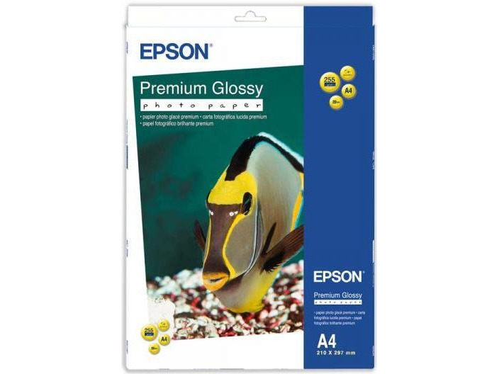 Epson Premium Glossy Photo Paper Bogof - Fotopapier, Glänzend - A4 (210 X 297 Mm) - 255 G/M2 - 15 Blatt (Packung Mit 2) (C13s042169)