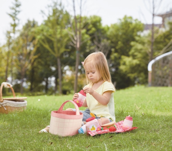 Hape Picnic Set
