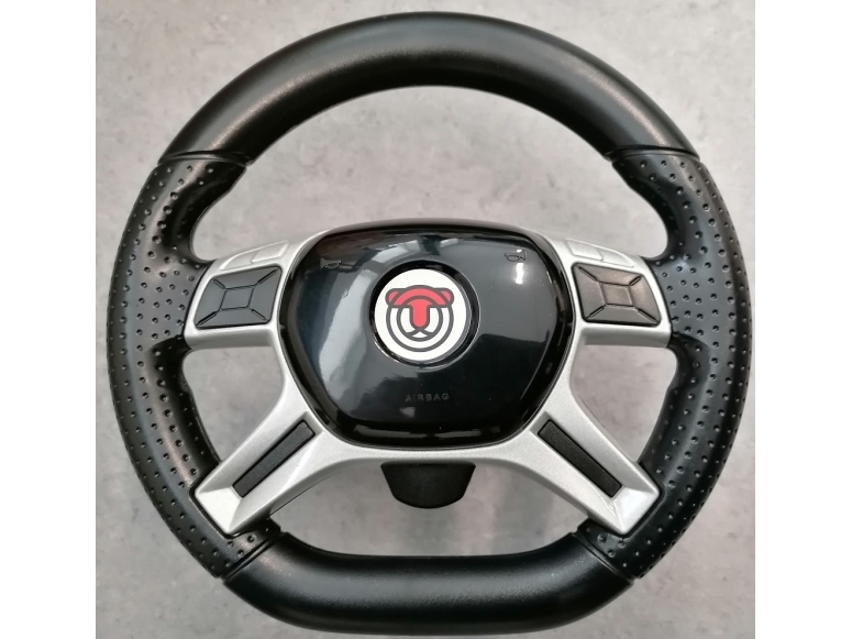 Paloauton neuvosto Sähköauto