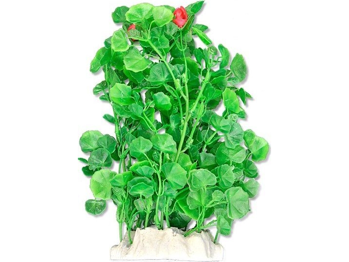 Happet Happet Happet Plantefolie 20Cm/2F21