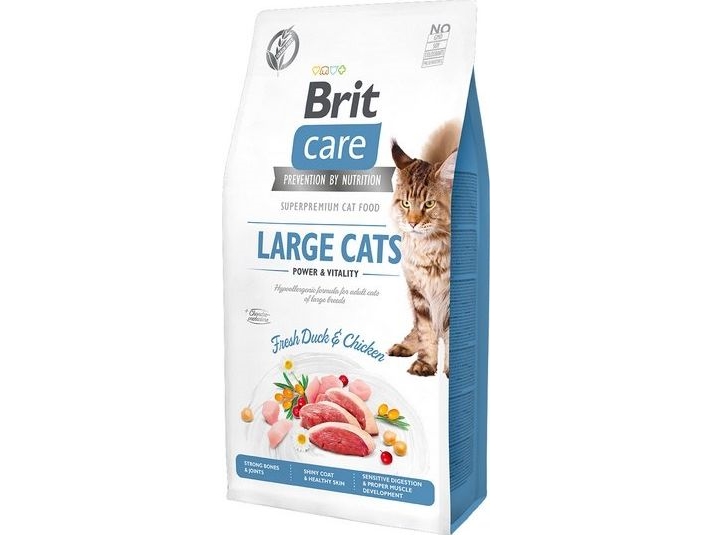 Vafo Prahs Brit Care Kot Large Cats 400G Power & Vitality Gf