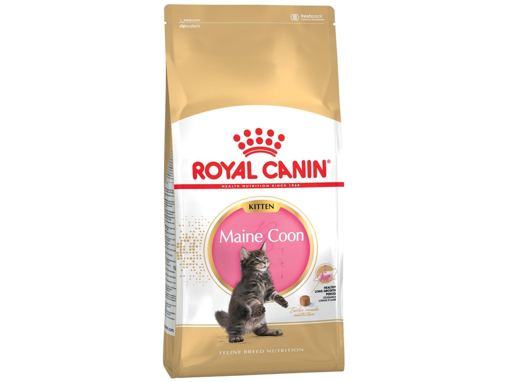 Royal Canin Maine Coon Kitten, Kitten, Maine Coon, Geflügel, 2 Kg, Antioxidantien Enthalten