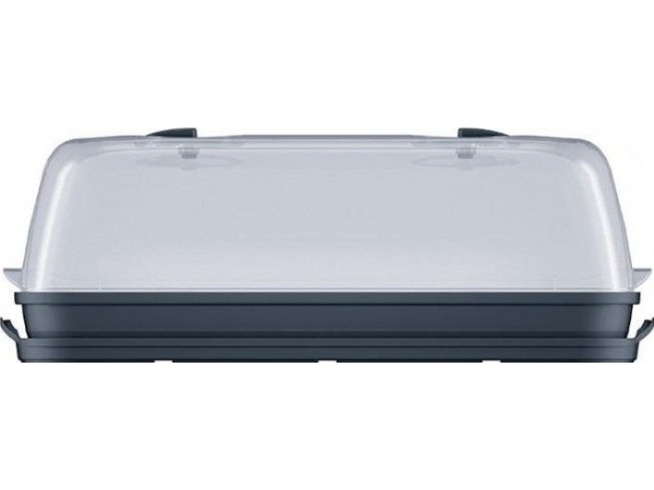 Prosperplast Minigewächshaus 51 cm x 19,6 cm x 18,5 cm (DREL400-S433)