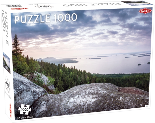 Tactic Puzzle 1000 Koli Hill, Finland