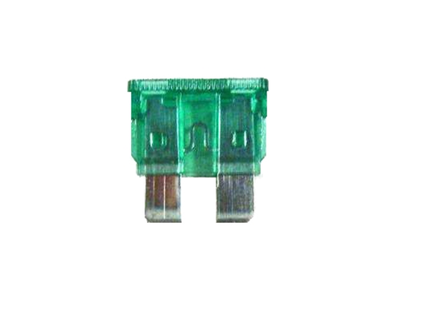 Sicherung 30A