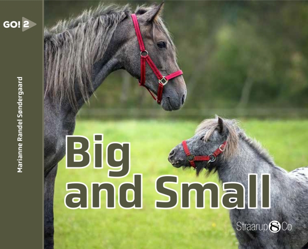 Big And Small | Marianne Randel Søndergaard