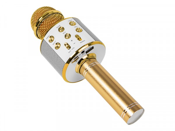 Prm402 Blow Goldener Karaoke-Mikrofon