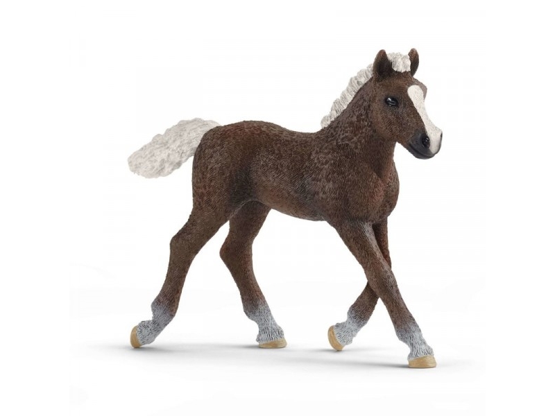 Schleich Black Forest Foal
