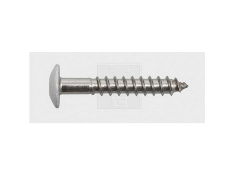 Swg 211555620 Facadeskrue 5.5 Mm 55 Mm T-Profil Rustfrit Stål A4 100 Stk
