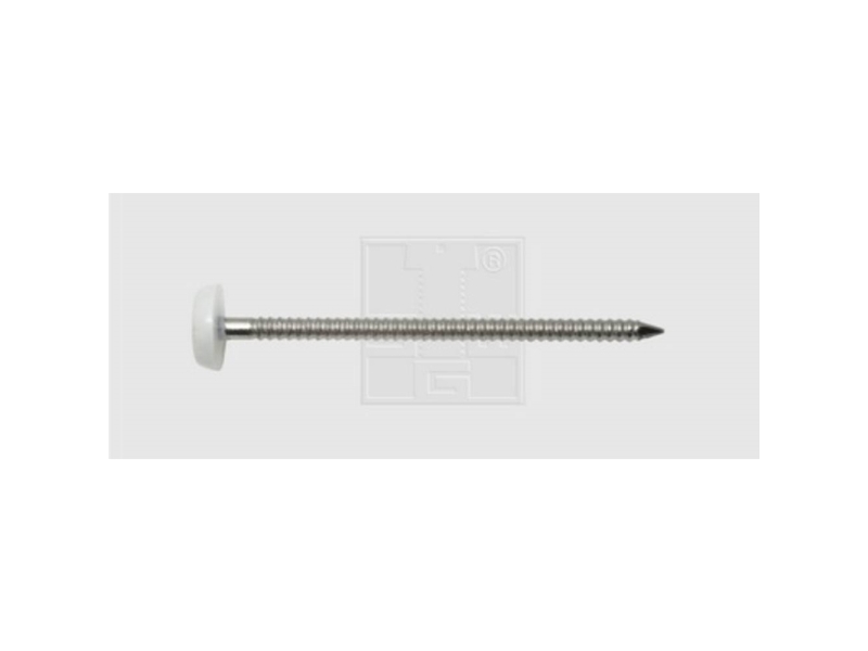 SWG 1838168010 spik med plastikhoved (Ø x L) 2 mm x 30 mm - rostfritt stål A4 - 250 st | Verktyg & Verkstad - Spik & stift - Spike | GameStuff