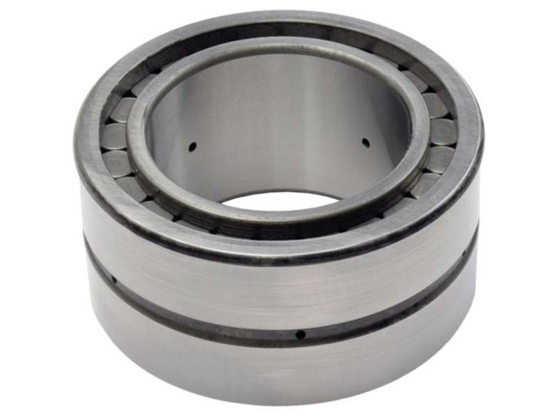 INA SL045009-PP Cylinderrullelejer Borings-diameter 45 mm Udvendig diameter 75 Omdrejningstal (maks.) 2200 U/min