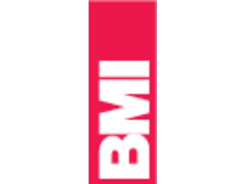 Bmi 696120Pm Magnet-Vaterpas Med Magnet 120 Cm 0.5 Mm/M