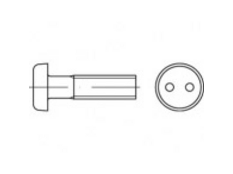 TOOLCRAFT TO-5379939 Sikkerhedsskruer M3 8 mm Tohuls 88111 Rustfrit stål A2 100 stk | Verktyg & Verkstad - Skruvar & Muttrar - Säkerhetsskruv | GameStuff