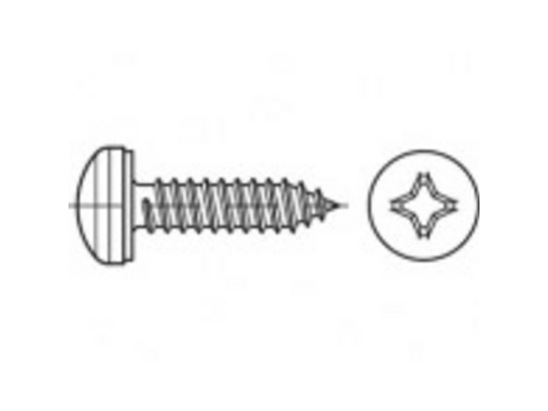 Toolcraft To 5380641 Plattskruvar 38 Mm Kryddskarare Philips 88981 Rostfritt Stål A2 500 St