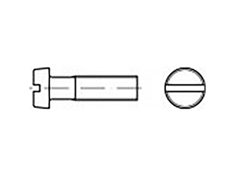 TOOLCRAFT cylindriska huvudskruv M3 40 mm spår DIN 84 rostfritt stål V4A A4 100 st | Verktyg & Verkstad - Skruvar & Muttrar - Skruv Metrisk | GameStuff