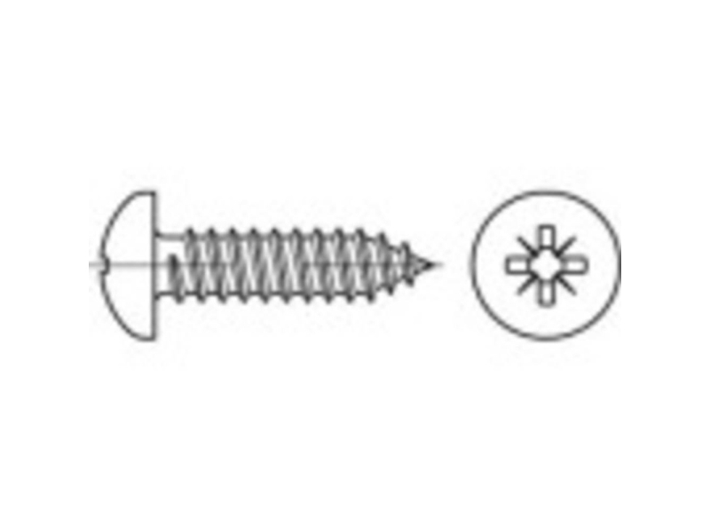 TOOLCRAFT TO-5432508 Lineaariset Phillips-ruuvit 50 mm Philips ISO 7049 Teräs Galvanoitu 500 kpl
