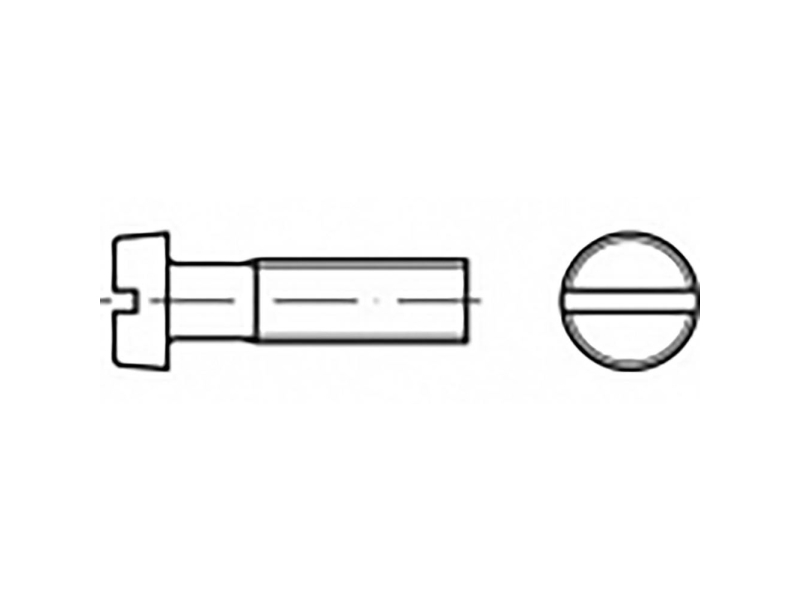 TOOLCRAFT TO-6864927 Cylinderhovedskrue M2.5 20 mm Kærv ISO 1207 Stål verzinkt 200 stk