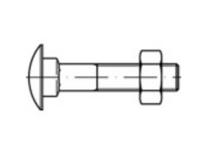 Toolcraft To-5448306 Runde, Flade Skruer M8 30 Mm Firkant Din 603 Messing 50 Stk