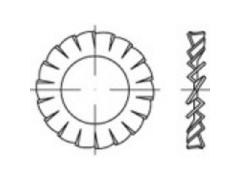 TOOLCRAFT 1067189 Stjernefjederskiver Indvendig diameter: 4.3 mm DIN 6798 Rustfrit stål A4 1000 stk | Verktyg & Verkstad - Brickor & Ringar - Tandbricka/fjäderbricka | GameStuff