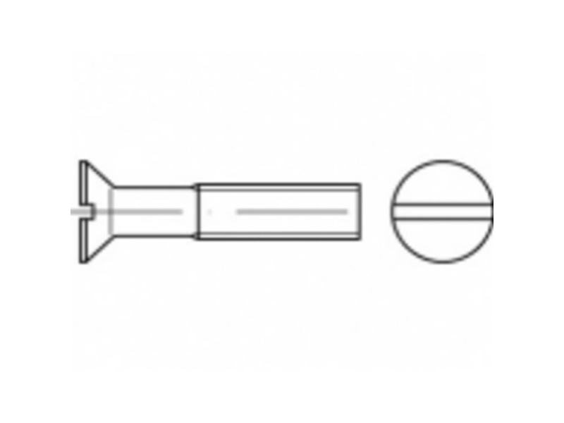 Toolcraft To-5452323 Undersænkede Skruer M3 12 Mm Kærv Messing 1000 Stk