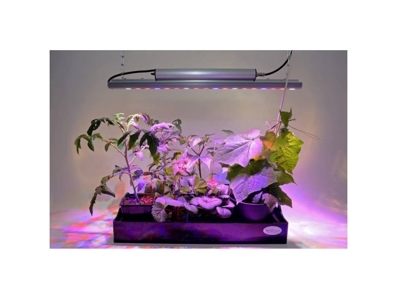 Venso LED-plantelampe vækst 65 cm 230 V LED indbygget 35 W RGBW 1 stk